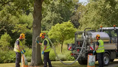 Tree fertilizing service in Pittsburgh, PA for healthier, stronger trees