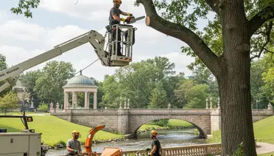 Tree service crew in Pittsburgh, PA providing professional tree care and removal services