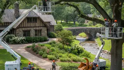 Tree service crew in Pittsburgh, PA providing professional tree removal and trimming services