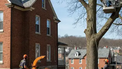 Tree service team in Pittsburgh, PA providing professional tree trimming and removal services