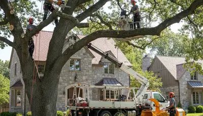 Tree service crew in Pittsburgh, PA providing professional tree trimming and removal