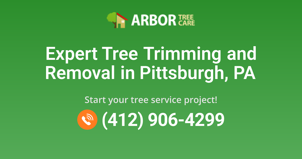 Arbor Tree Care